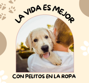 Mascotas en la Salud Mental